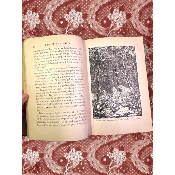 Silver Chief: Dog of the North by Jack O’Brien 1933 HC – School Edition - Picture 10 of 14